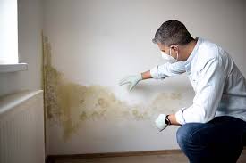 Best Post-Construction Mold Inspection  in Timmonsville, SC